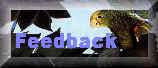 Feedback